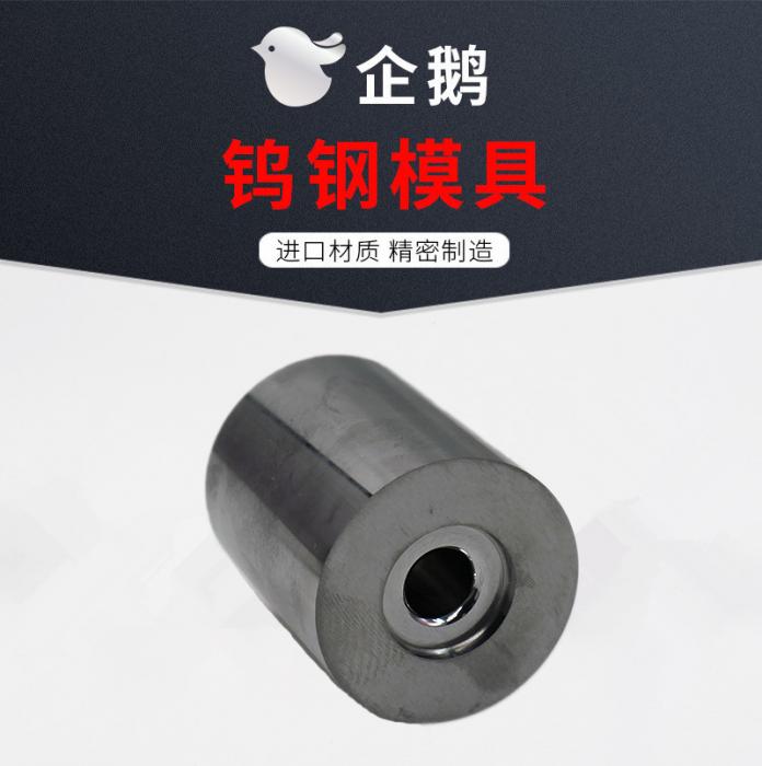 Tungsten Carbide innsert for screw mould