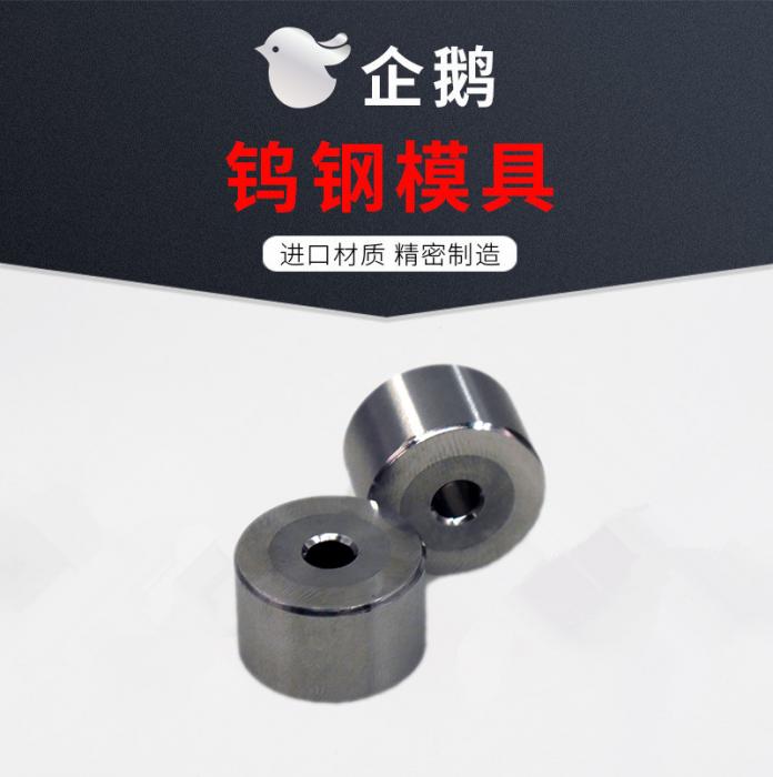 Tungsten Carbide innsert for screw mould