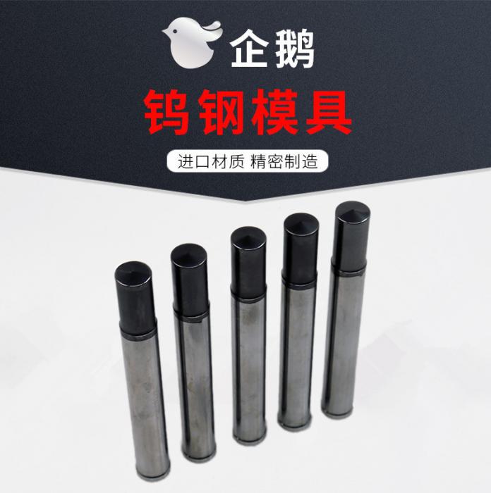 Tungsten Carbide punch for screw mould